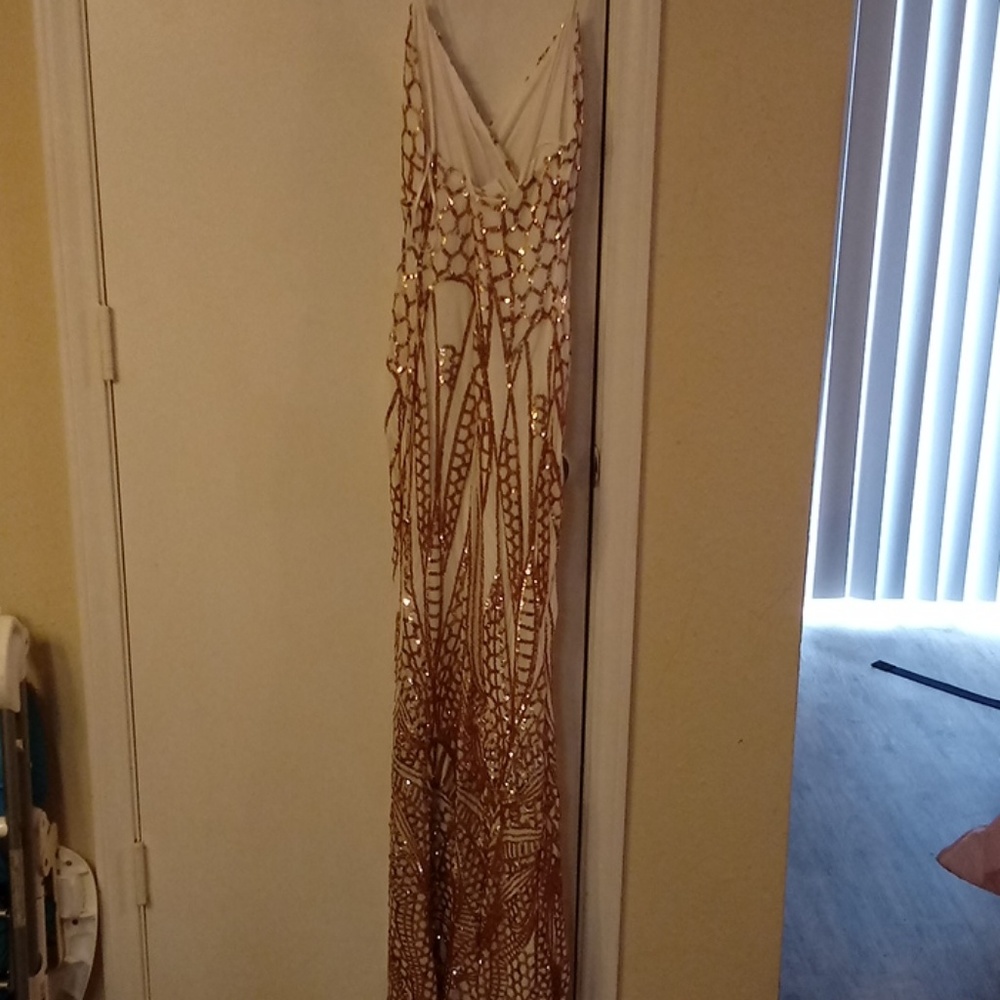 Formal Dress - Picture 4 of 5